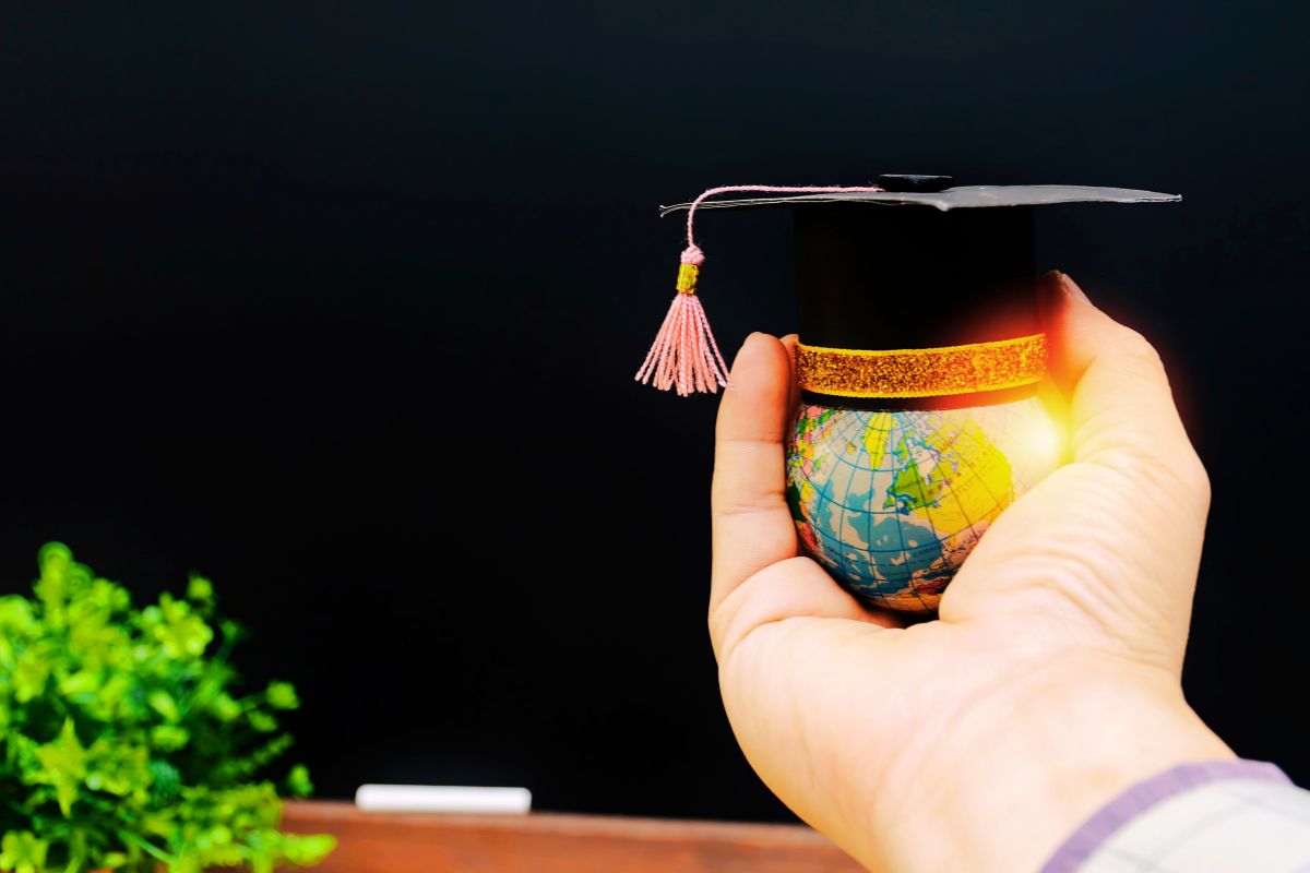 Ilustración de inversión en formación profesional y redes educativas estratégicas de Enigmarketing