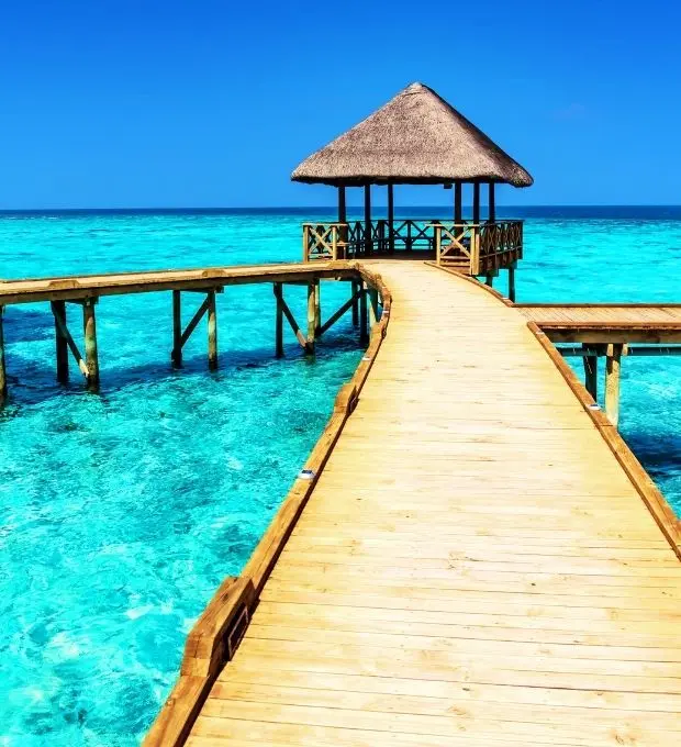 Imagen del sector turístico impulsado por innovación y experiencias digitales